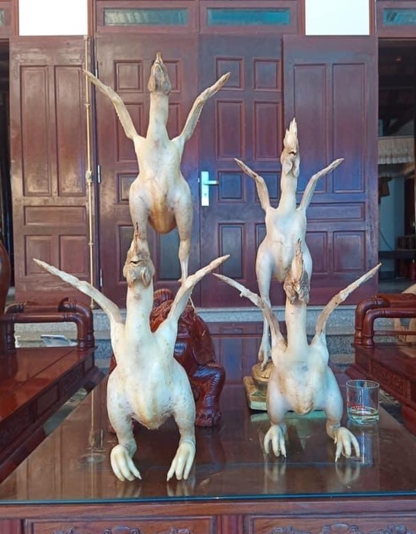 nguoinghe.vn