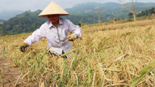 nguoinghe.vn