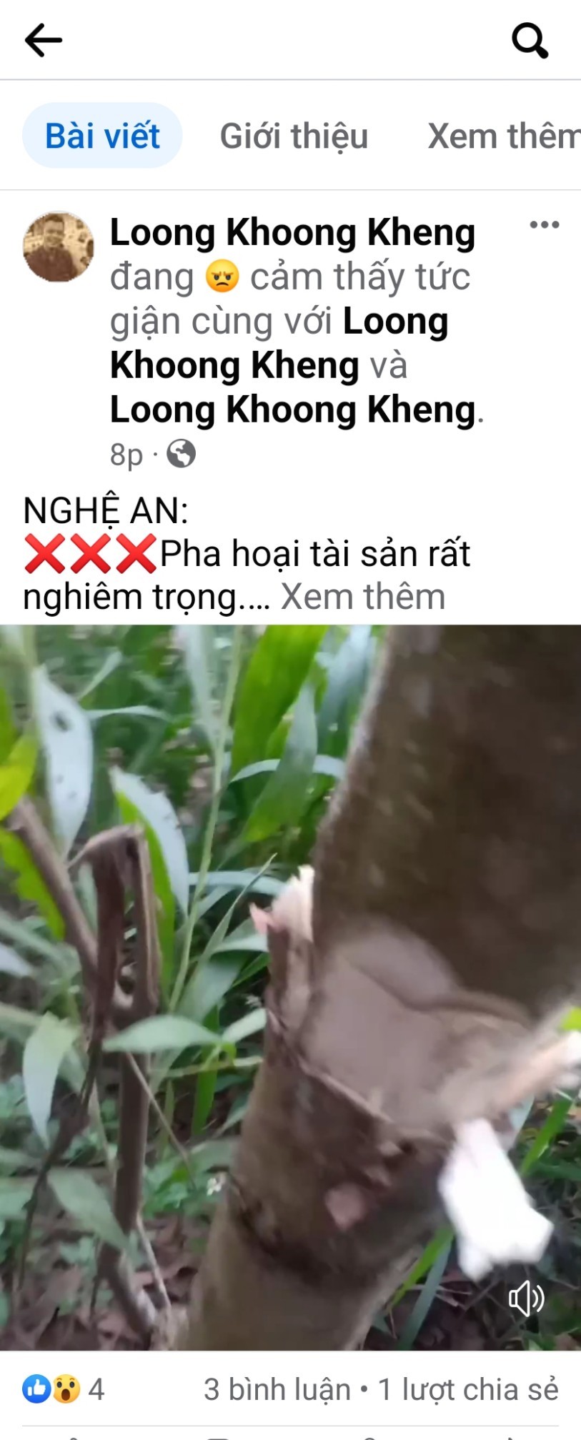 nguoinghe.vn