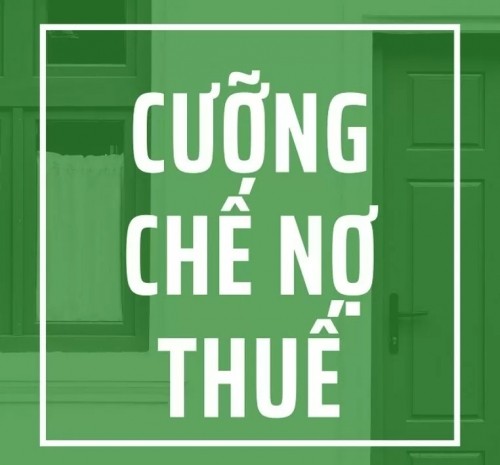 cuong-che-thue-1732421588-1732434167.jpg