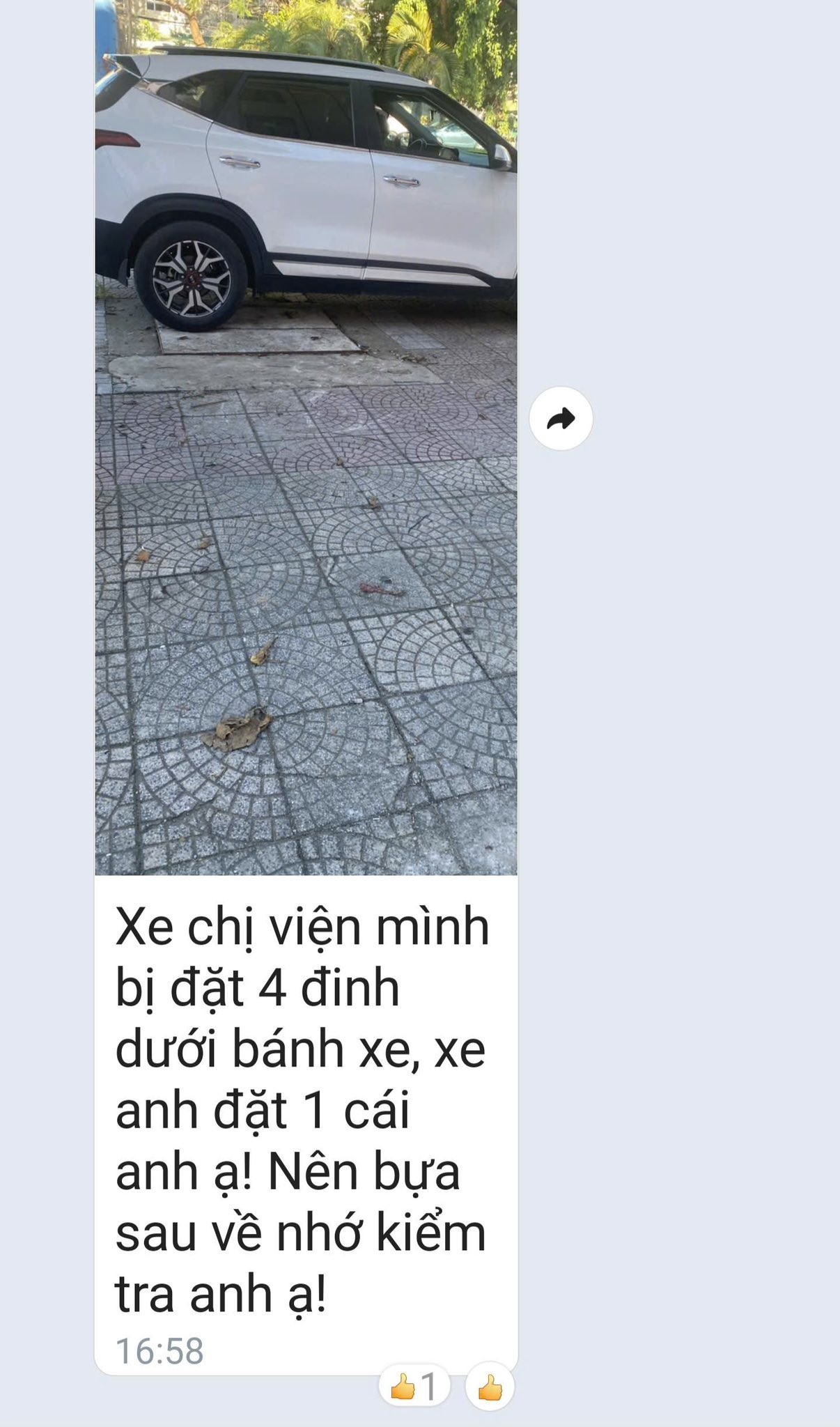 711686242-4178692452428064-6676194769492467264-n-1780543358-1780558610.jpg