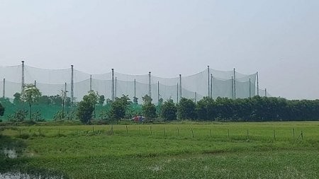 Toàn cảnh vụ "Xin dự án nuôi cá rô phi Isreal công nghệ cao để làm sân tập golf ở Nghệ An"