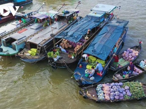 Cần Thơ dừng tổ chức Ngày hội du lịch “Văn hóa Chợ nổi Cái Răng” năm 2021