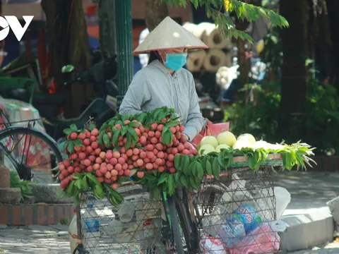 Người dân chật vật mưu sinh dưới nắng nóng hơn 40 độ C tại Hà Nội