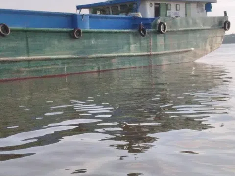 Sà lan tông hàng loạt nhà bè, 10 tấn cá thoát ra sông