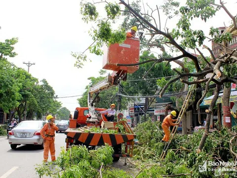 Nắng nóng trên diện rộng, tiêu thụ điện tiêu dùng ở Nghệ An tăng mạnh