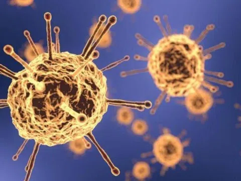 Tình báo Mỹ làm rõ nghi vấn virus SARS-CoV-2 là vũ khí sinh học 