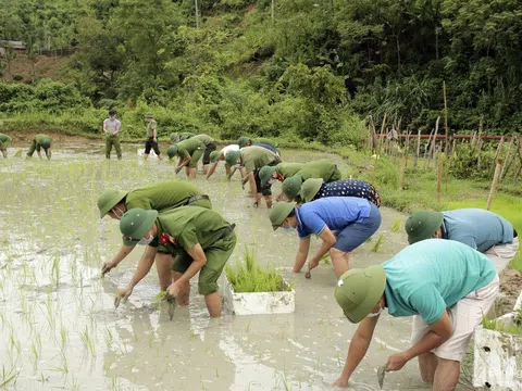 Các lực lượng giúp người dân vùng tâm dịch Tương Dương cấy lúa