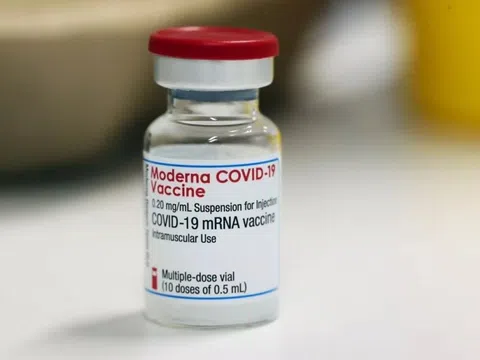 Vaccine Covid-19 của Moderna tạo ra kháng thể chống lại biến thể Delta