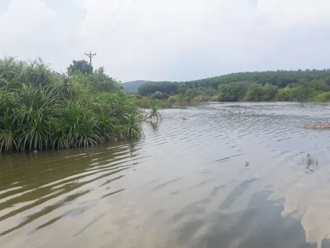 Phát hiện thi thể nam giới trong đầm nuôi cá