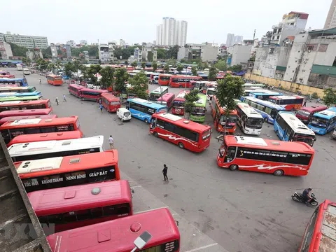 Doanh nghiệp vận tải đang “chết lâm sàng”, chờ chính sách giải cứu