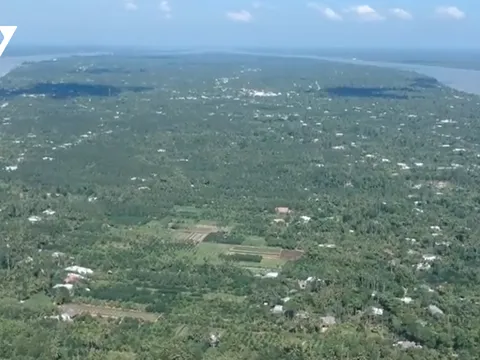 Vĩnh Long phát triển "vùng xanh", thu hẹp "vùng đỏ" tiến tới đẩy lùi dịch bệnh