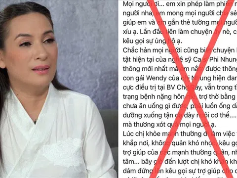 Vụ quyên góp tiền cho Phi Nhung trị Covid-19: Có thể bị phạt cải tạo đến 3 năm?