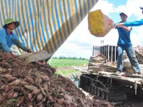 Thương lái vào Vĩnh Long bị cách ly, hàng nghìn tấn nông sản tồn mỗi ngày