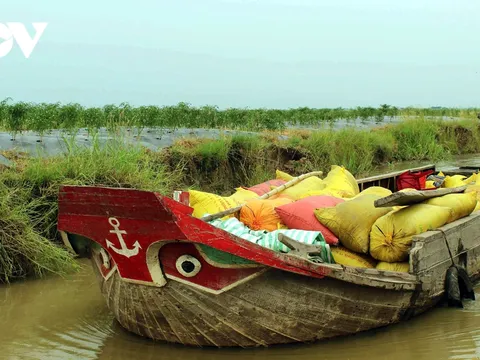Vùng ĐBSCL “xoay trục” vận tải đường thủy đang chứng tỏ ưu thế
