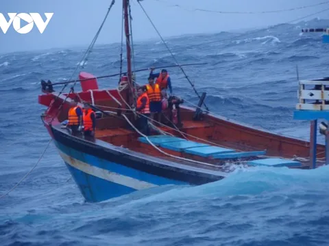 Mưa lớn gây ngập và sạt lở nhiều nơi ở miền Trung