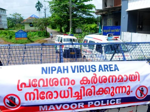 Lý do virus Nipah có thể gây đại dịch chết người giống như Covid-19