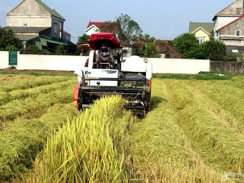 Nghệ An quản lý chặt máy gặt thuê mùa dịch