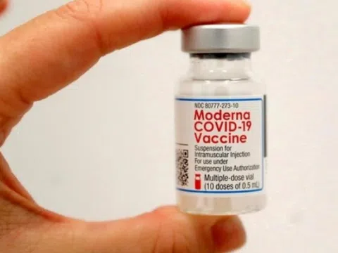 Tiêm muộn vaccine Moderna có làm giảm hiệu quả bảo vệ?