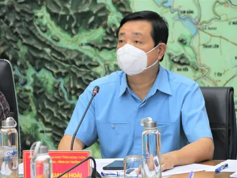 Chủ động các phương án vừa phòng dịch, vừa ứng phó với bão số 5