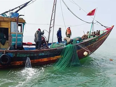 Hà Tĩnh: Vây bắt 5 tàu cá khai thác hải sản bằng thiết bị cấm