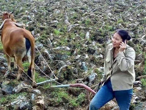 Bài thơ xứ Nghệ cực hay: "Đau trốoc bay nạ"