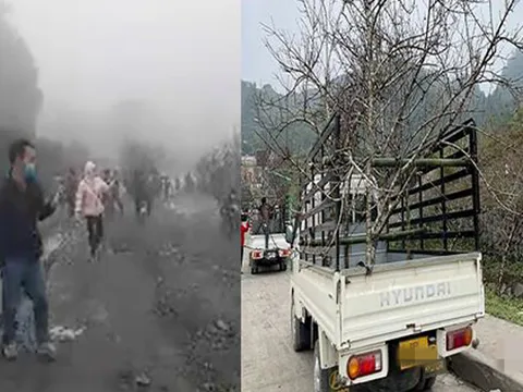 Dàn xe chở đào ở Lào nhộn nhịp, lén lút nhập cảnh vào Nghệ An