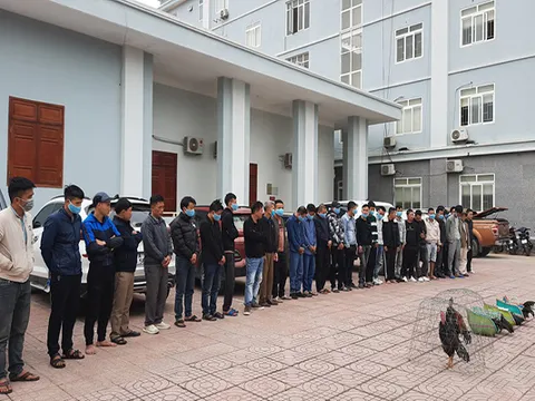 Vụ triệt phá tụ điểm "đá gà" khủng ở Nghệ An: 3 mẫu giấy "lạ" tại hiện trường viết gì?