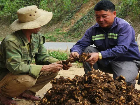 Nghệ An: Chàng trai làm thay đổi cuộc sống của người dân