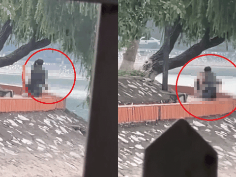 Biến căng: Đôi nam nữ công khai “chống đẩy” ở bờ hồ khiến nhiều người lắc đầu: “Ở nhà cháu ngoan lắm”