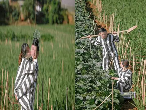 Cặp vợ chồng biến đám cưới thành nơi sáng tạo: “Kết hôn là án tù chung thân”