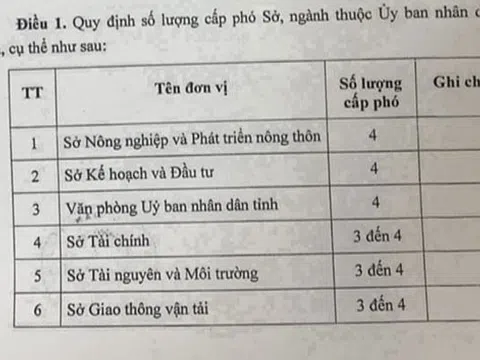 Nghệ An: Nhiều sở, ngành có đến 4 cấp phó