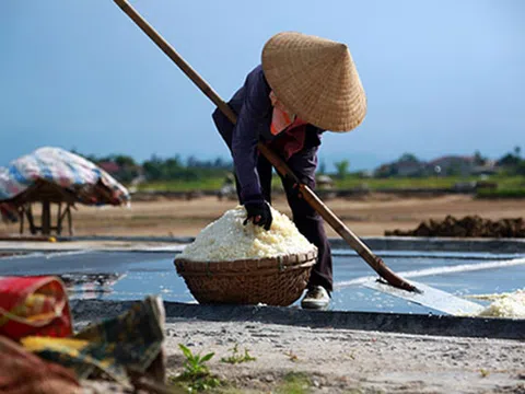 Công an Nghệ An vào cuộc điều tra HTX Kim Liên có dấu hiệu sai phạm