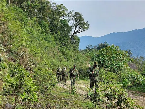 Nghệ An: Biên phòng lập thêm nhiều chốt lưu động ngăn nhập cảnh trái phép