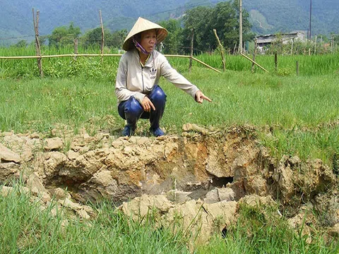 Nghệ An: Ruộng lúa sụt thành "hố tử thần" ngay trước mắt, giếng khơi đột nhiên hết nước