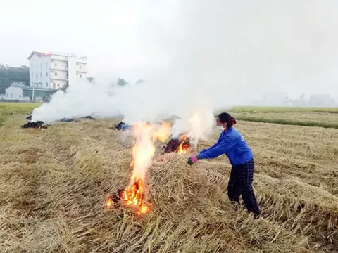 Nghệ An: Làng quê ngột ngạt khói rơm rạ đốt trên các cánh đồng