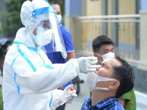 Giám đốc Hacinco là "biểu hiện của một người lơ là cả xã hội vất vả"