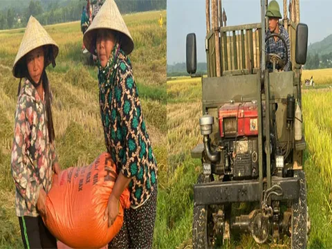 Nghệ An: Tranh thủ vụ Đông Xuân, "người vận chuyển" kiếm tiền triệu mỗi ngày