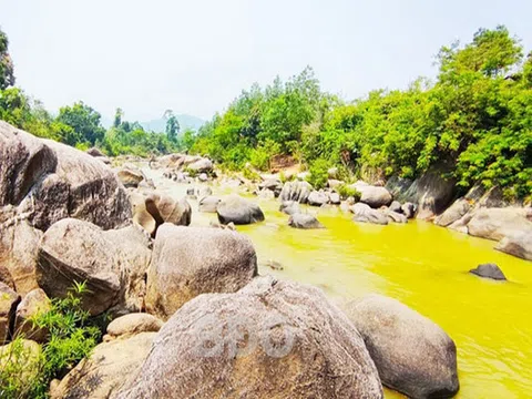 Cuốn hút đại ngàn An Lão