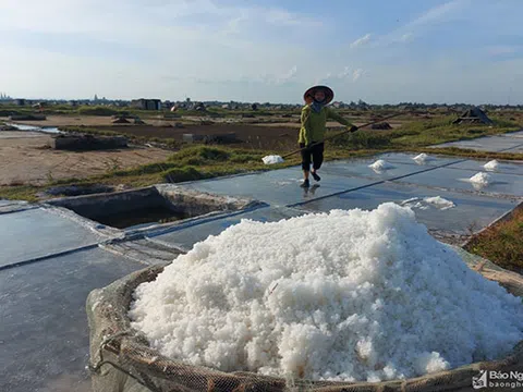 Diêm dân Nghệ An quần quật làm việc giữa trưa nắng 40 độ