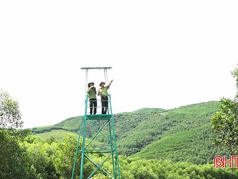 Căng mình phòng cháy, giữ “lá phổi xanh” giữa nắng nóng gay gắt ở Hà Tĩnh