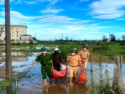 Hà Tĩnh: Chung tay thu hoạch hoa màu bị ngập úng cho người dân vùng phong tỏa