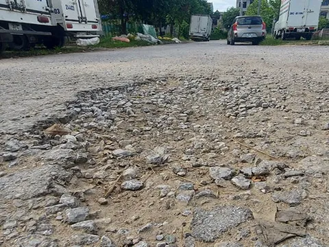 Nghệ An: Hàng chục hộ dân “sống khổ” giữa lòng thành phố