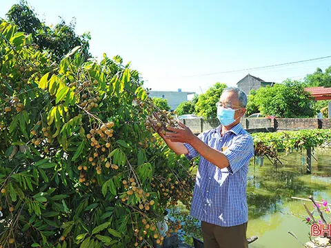 Cộng đồng dân cư giám sát truy xuất nguồn gốc sản xuất rau ở xã nông thôn mới kiểu mẫu Hà Tĩnh