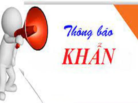 Khẩn: Tìm người liên quan chuyến bay của hãng Vietnam Airlines, số hiệu VN 1264