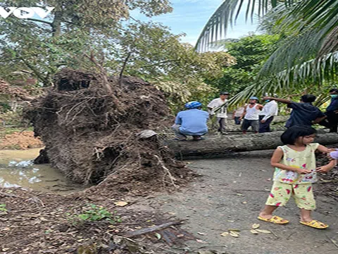 Gió lốc gây thiệt hại hàng chục nhà dân và đổ ngã nhiều vườn cây đặc sản tại Bến Tre