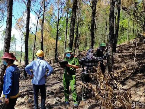 Nghệ An: Truy tìm được người gây cháy rừng ở thị xã Hoàng Mai
