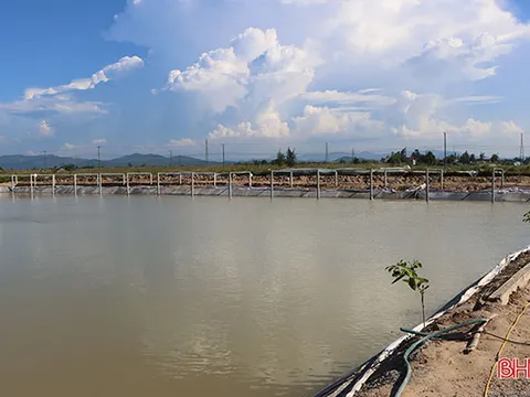 Hà Tĩnh: Nông dân xứ Cẩm “biến” ruộng xấu thành mô hình 4 tầng nấc, hứa hẹn hiệu quả cao