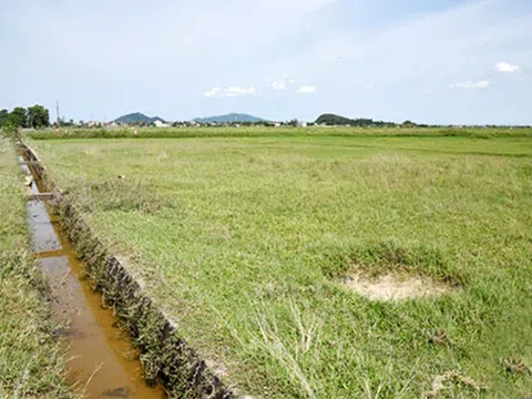 Hà Tĩnh: Kênh chính xuống cấp, hàng trăm ha đất lúa hè thu ở Lộc Hà bị ảnh hưởng