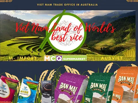 Xuất khẩu nông thuỷ sản, dệt may, giày dép của Việt Nam sang Australia tăng trưởng mạnh